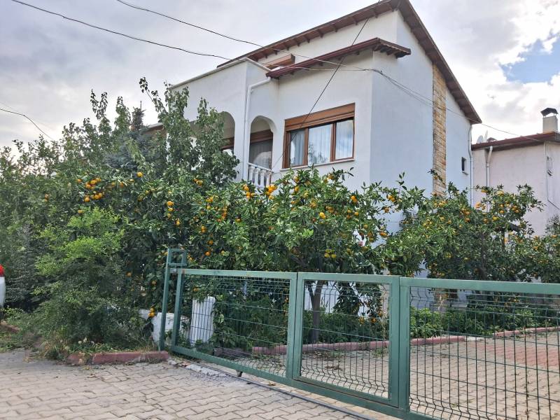 Büyü21505